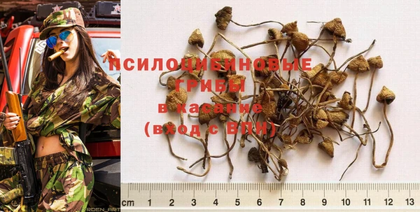 мескалин Вяземский