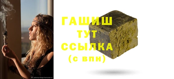 прущие грибы Волоколамск