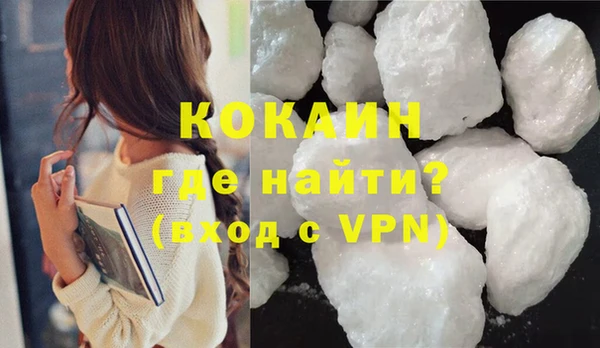 прущие грибы Волоколамск